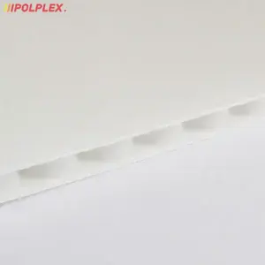 Płyta polipropylenowa PP struktura rdzenia plaster miodu biała 2,9 mm