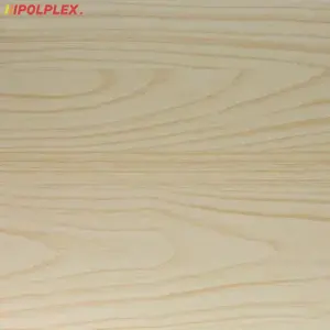 Kompozyt budowlany płyta Stacbond stb-w04 white maple