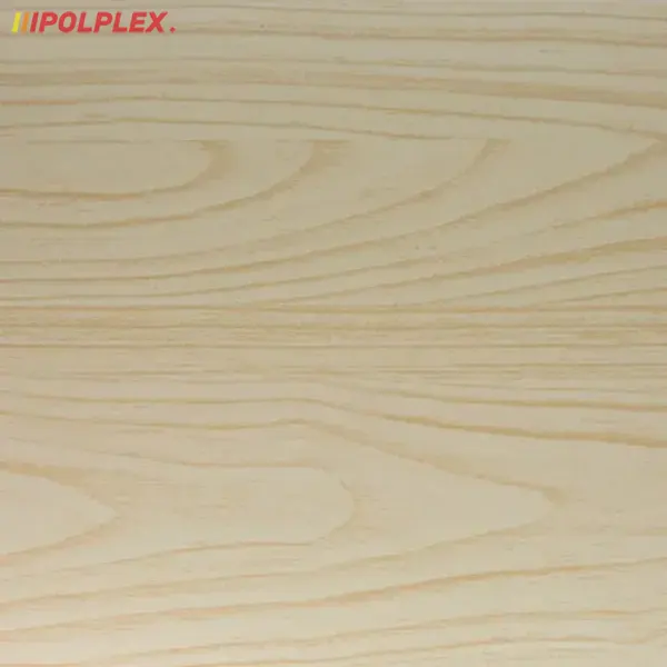 Kompozyt budowlany płyta Stacbond stb-w04 white maple
